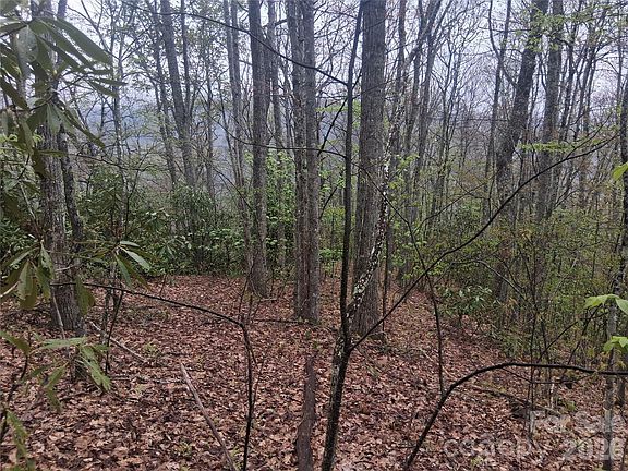 3rd image of 0 Bear Creek Rd