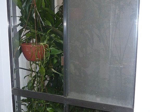 Atrium