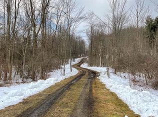 10690 Butternut Rd, Chesterland, OH 44026