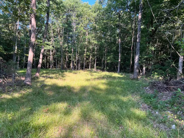 2249 County Road 359 Lot 1, Thayer, MO 65791