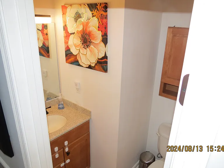 Downstairs Half Bathroom