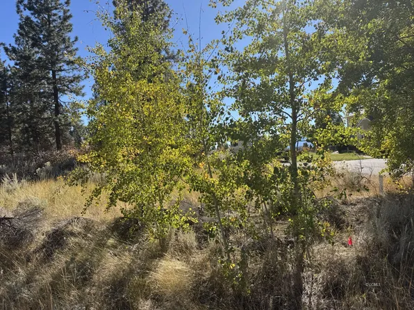 Irving Way, Chiloquin, OR 97624