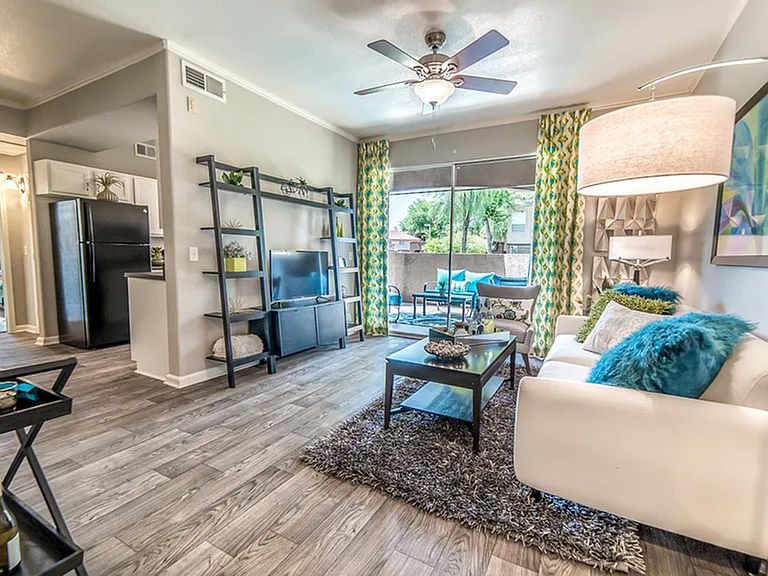 One bedroom living room