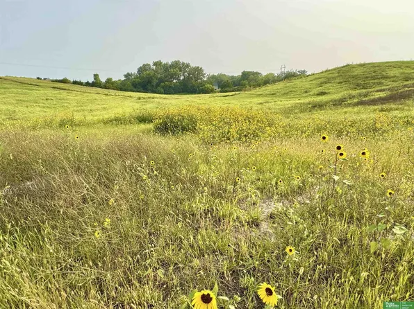 22611 Copper Ridge Rd, Gretna, NE 68028