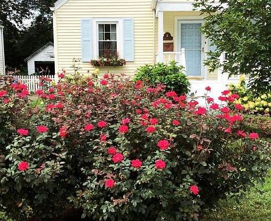 2nd image of 240 Clover Ln