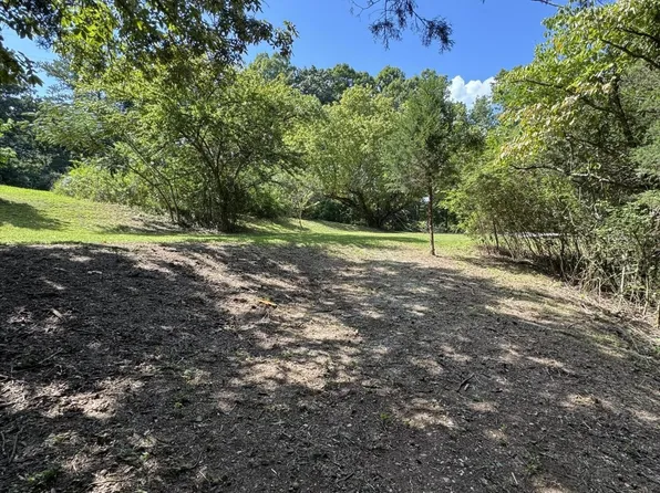 1703 River Rd, Decatur, TN 37322