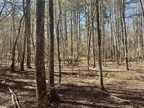 3rd image of 555 Larmon Forks Rd #5B