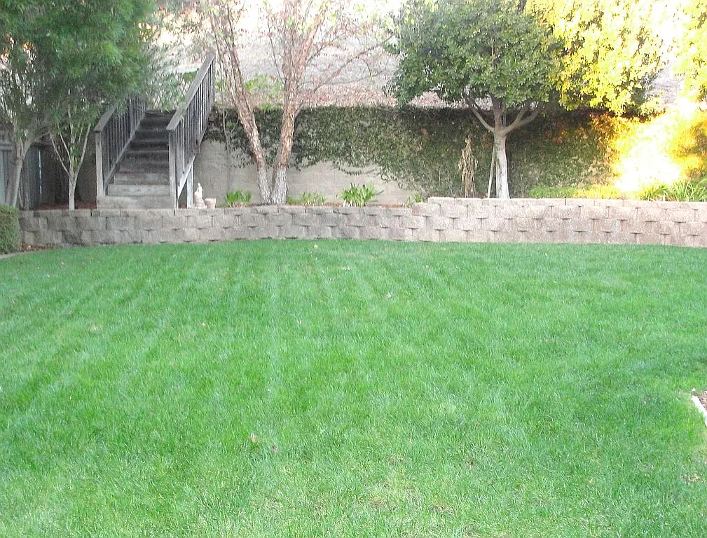 2785 Mira Bella Cir photo 1