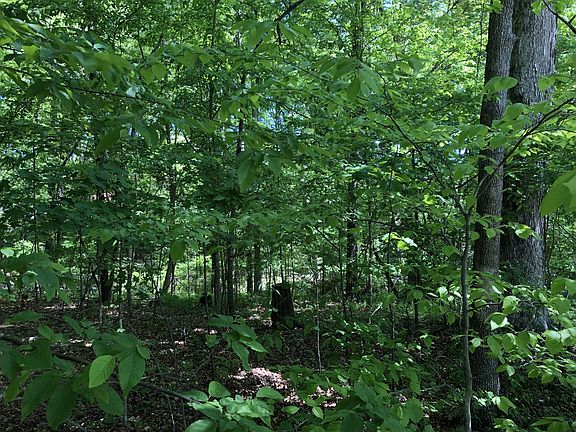 2nd image of 0 Devin Dr Lot 14