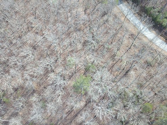 4th image of 0 S Laceola Rd Lot 1