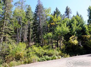 11686 Brook Rd, Golden, CO 80403