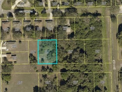 Detroit Ave, Fort Myers, FL, 33905