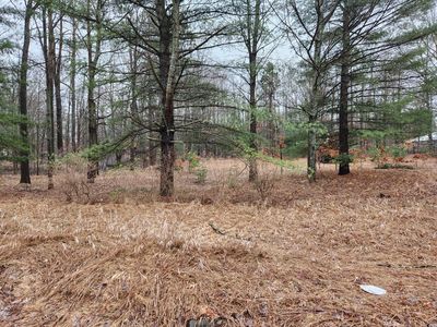 8071 Rolling Rd, Lake, MI, 48632