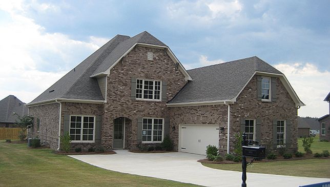 Elevation Image 1.