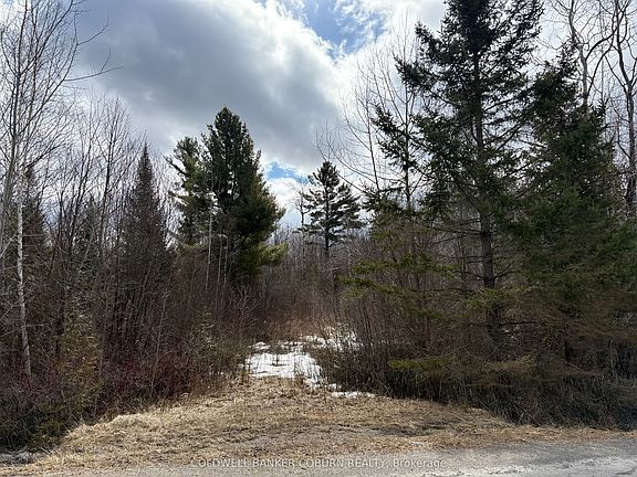 2nd image of 2035 Ventnor Rd