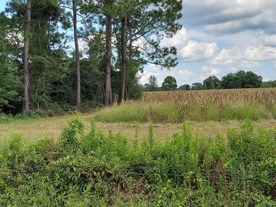 1 Harold Tyson Rd, Tifton, GA, 31794