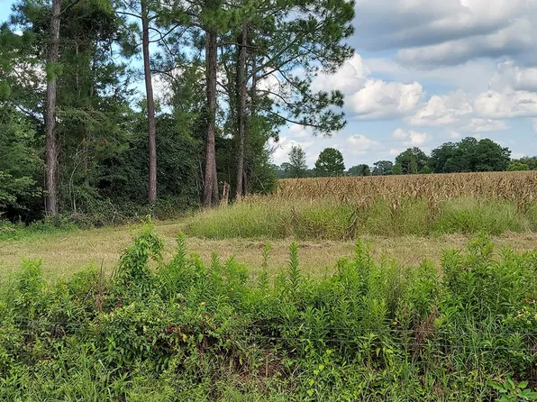 1 Harold Tyson Rd, Tifton, GA 31794