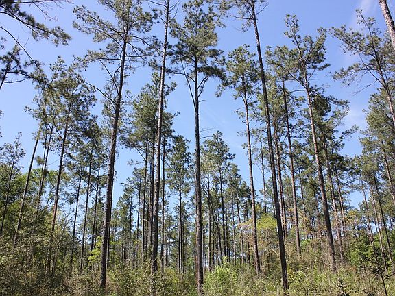 3rd image of Pid 36982 Hwy #103W