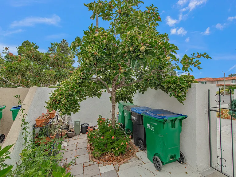 26 Palmento Way — Photo 43