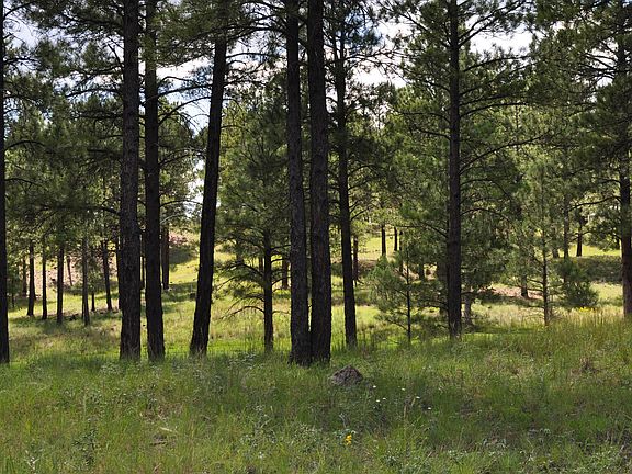 2nd image of 3141 S Solitaires Canyon Dr