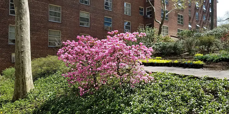 Sold by Keller Williams Realty Gold Coast | media 56