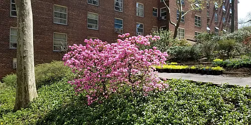 Sold by Keller Williams Realty Gold Coast