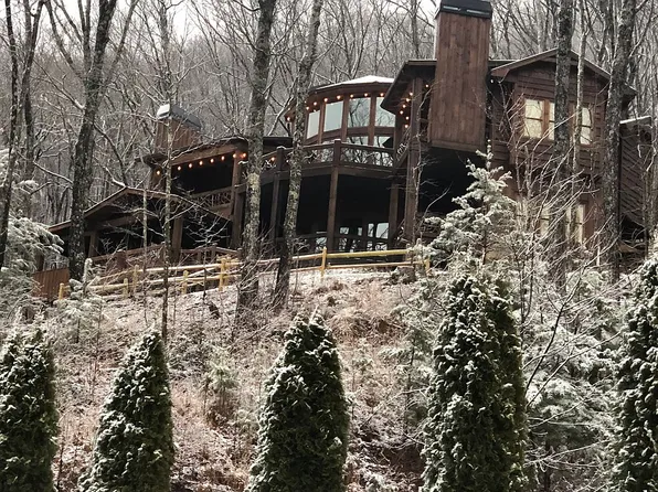 312 Covered Bridge Ln, Cherry Log, GA 30522