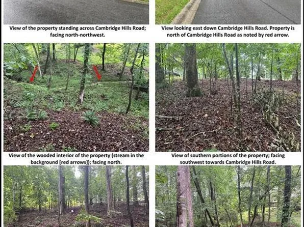 LOT 8 Cambridge Hills Rd, Cumming, GA 30041