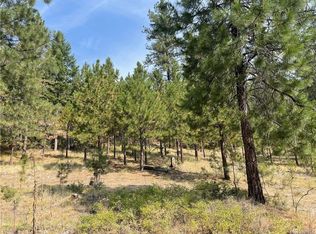 20 Highway E, Republic, WA 99166