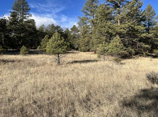 17th Trl, Cotopaxi, CO 81223