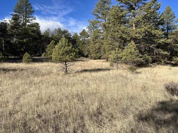 17th Trl, Cotopaxi, CO 81223