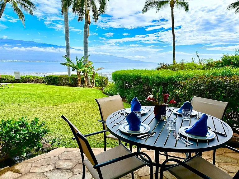 Terrace View
