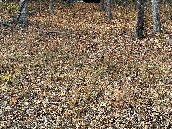5th image of 16627 Woodchase Ln