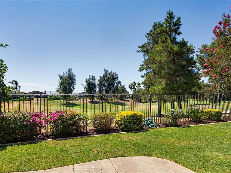 Backyard view