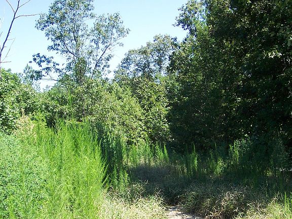 5th image of 227 County Road 118 Lot 5