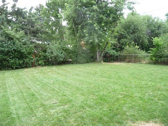 back yard