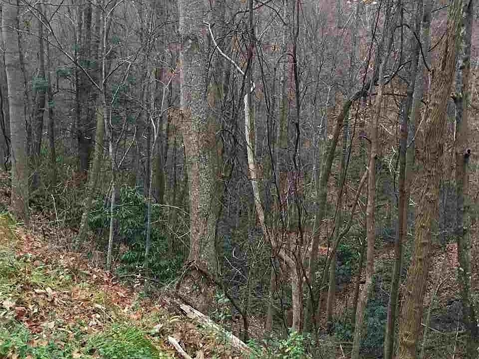 1st image of 59 Zurich Rd