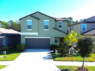 2058 Stellar Brilliance Way, Lutz, FL 33558