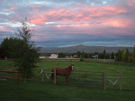 Views to East, Digger