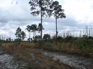 Salyers Rd, Groveland, FL 34736