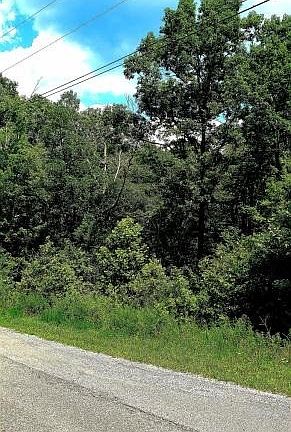 2nd image of 0 Green Brier Ln