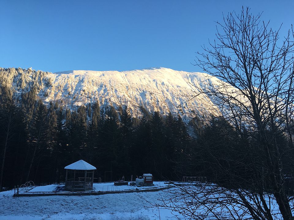 View From Living Room