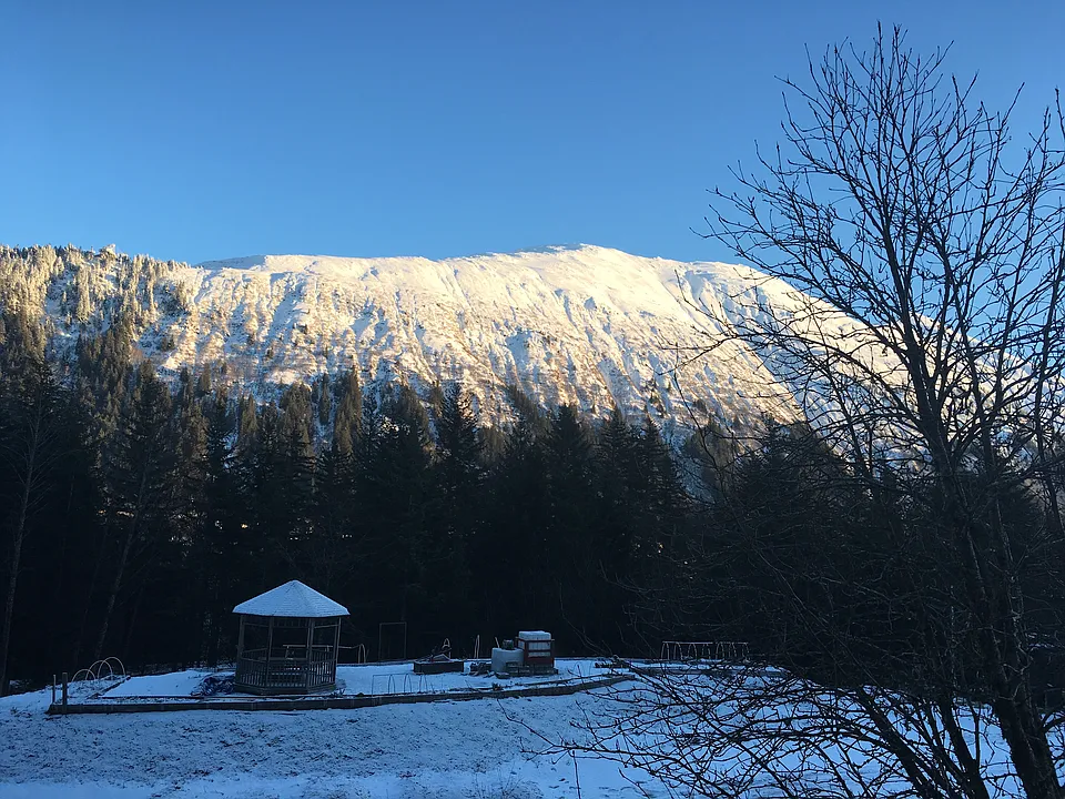 View From Living Room