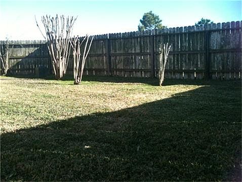 backyard view 1
