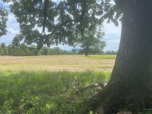 2nd image of TRACT 1415 Bean Patch Loop