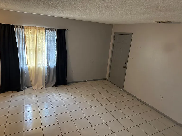 2458 Chestnut Woods Dr #2458 — Photo 4