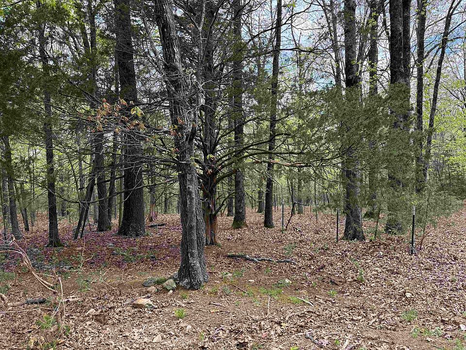2nd image of LOT 25 Griffin Farm Rd