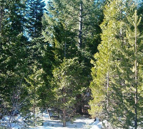 2nd image of 12340 Hwy 66