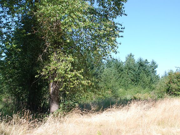 3rd image of 3509 240th St E