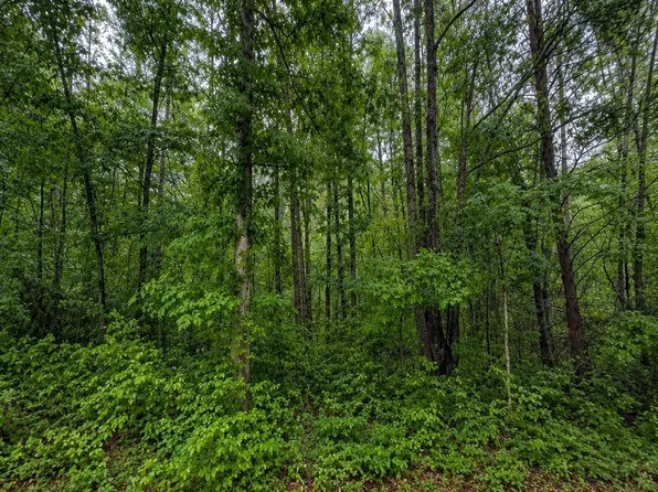 0 Valley Rd Lot 1, Travelers Rest, SC 29690